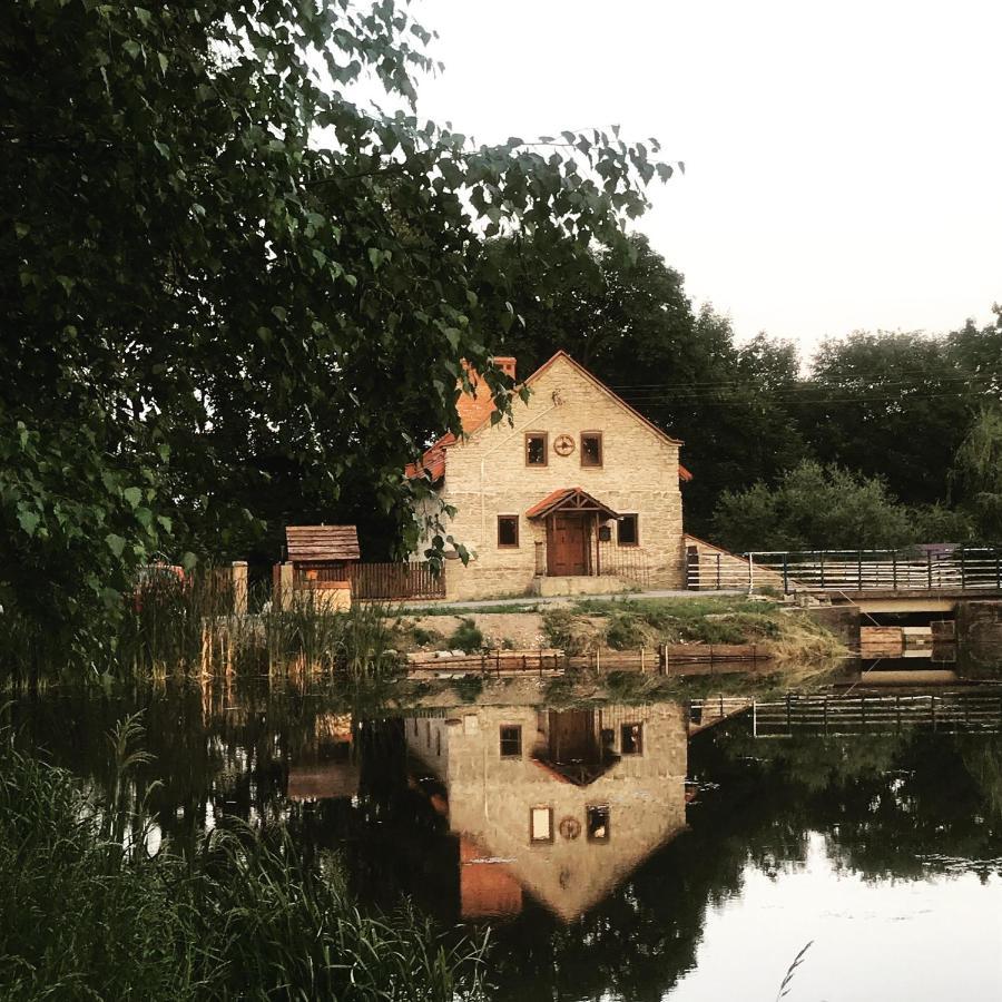 Wisniowy Mlyn Villa Wisniowa k Staszowa Bagian luar foto