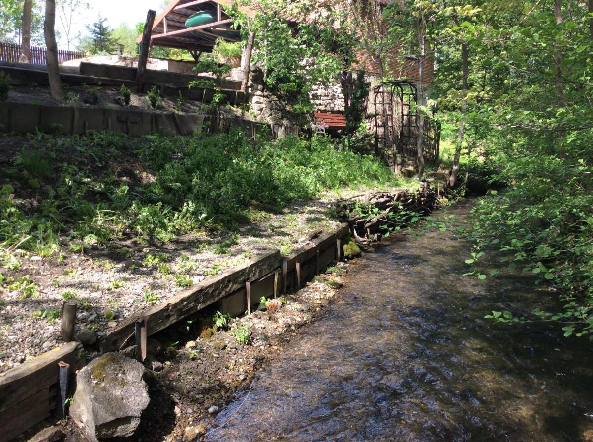 Wisniowy Mlyn Villa Wisniowa k Staszowa Bagian luar foto