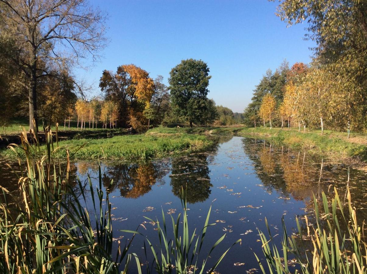 Wisniowy Mlyn Villa Wisniowa k Staszowa Bagian luar foto